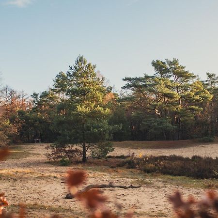 Drents Genieten - Lavendelheide Met Uitzicht Op Het Water Erm Exteriör bild